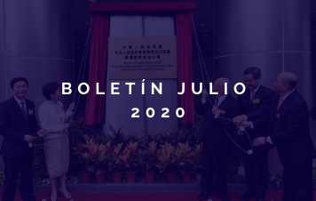 Boletín Mensual – Julio 2020